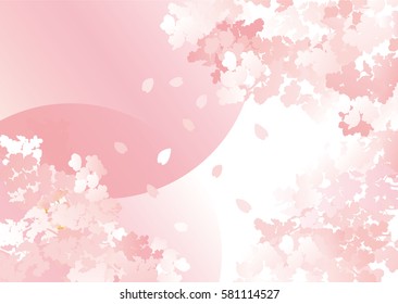 A beautiful cherry blossom illustration