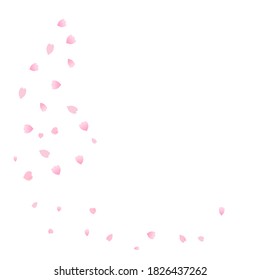 Beautiful cherry blossom petals falling isolated on white background vector illustration.  Sakura Japanese flower.