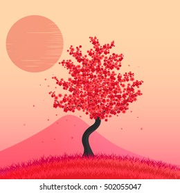 Beautiful cherry blossom tree.