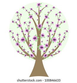 Beautiful cherry blossom tree isloated on white background