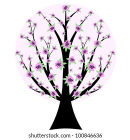 Beautiful cherry blossom tree isloated on white background