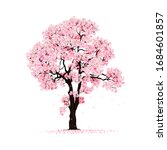  beautiful cherry blossom tree  isolated on white backdrop.