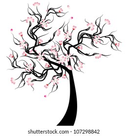 Hermoso árbol de cerezo aislado en fondo blanco
