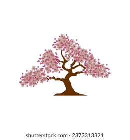 hermoso árbol de flores de cerezo aislado sobre fondo blanco.