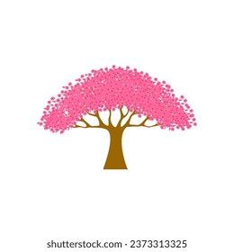 beautiful cherry blossom tree isolated on white backdrop.