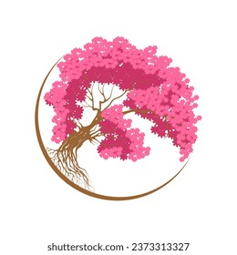 beautiful cherry blossom tree isolated on white backdrop.