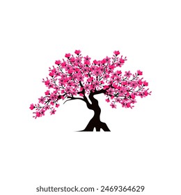 beautiful cherry blossom tree isolated on white  background.