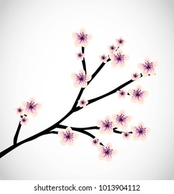 Beautiful cherry blossom VECTOR illustration