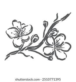 belo esboço de vetor de flor de cereja com um único elegante, mas muito bonito desenho ou estilo de design