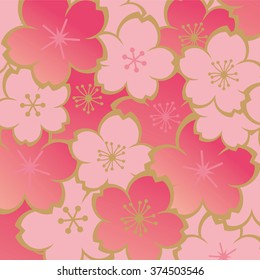 Beautiful cherry blossoms of Japan