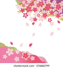 Beautiful cherry blossoms of Japan