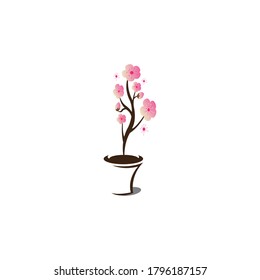 beautiful cherry blossoms in pots, colorful vector design illustration icon