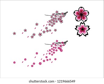 
Beautiful Cherry Blossoms vector art designs