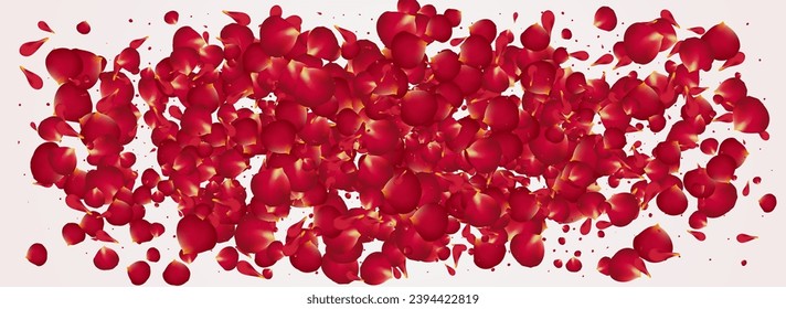 Beautiful Cherry Fly Vector Panoramic White Background. Spring Sakura Banner. Pink Blossom Tender Poster. Red Lotus Flying Cover.