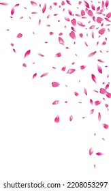 Beautiful Cherry Japanese Vector White Background. Summer Peach Frame. Delicate Lotus Falling Texture. Red Floral Tender Banner.