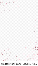 Beautiful Cherry Tender Vector Transparent Background. Japanese Floral Pattern. Pink Petal Falling Illustration. Delicate Peach Spring Frame.