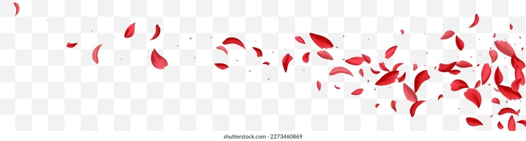 Beautiful Cherry Tender Vector Transparent Panoramic Background. Spring Lotus Frame. Delicate Sakura Fall Poster. Pink Rose Japan Texture.