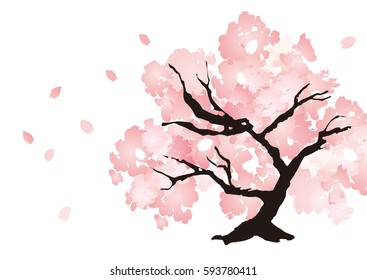 A beautiful cherry tree illustration