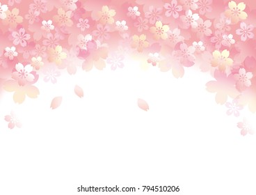 It is a beautiful cherry tree in Japan