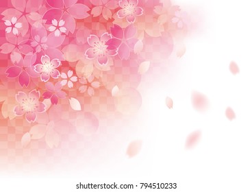It is a beautiful cherry tree in Japan