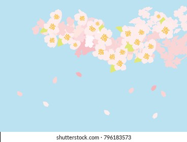 It is a beautiful cherry tree in Japan
