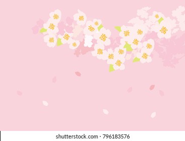 It is a beautiful cherry tree in Japan