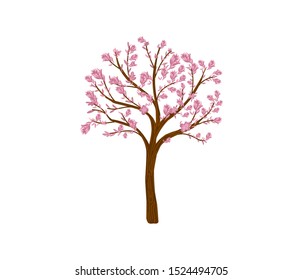 Beautiful Cherry Tree Vector Illustration. Magnolia Tree Isolated On White.