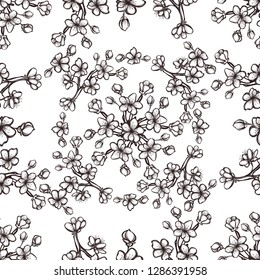 Beautiful Cherry ,Vector illustration, branches, flowers, buds, handmade. background white. seamless pattern