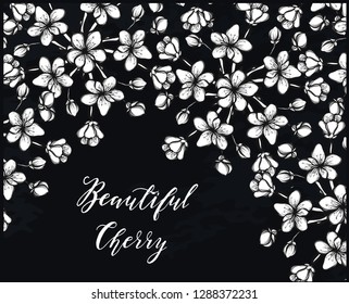 Beautiful Cherry ,Vector illustration, branches, flowers, buds, handmade, card for you, background chalkboard
