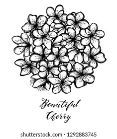 Beautiful Cherry ,Vector illustration, Sakura , buds, flowers, card for you, handmade