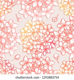 Beautiful Cherry ,Vector illustration, Sakura , buds, flowers, card for you, handmade. seamless pattern. background, yellow pink color