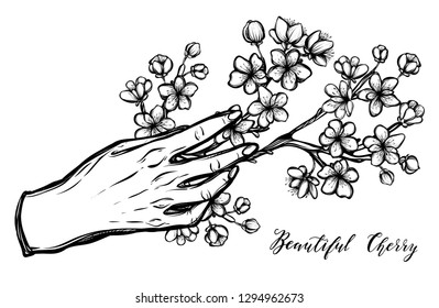 Beautiful Cherry ,Vector illustration, Sakura branch in hand, buds, flowers, handmade, card for you