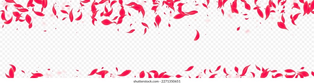 Beautiful Cherry Vector Transparent Panoramic Background. Fly Petal Poster. Delicate Blossom Spring Pattern. Red Fall Rose Wallpaper.