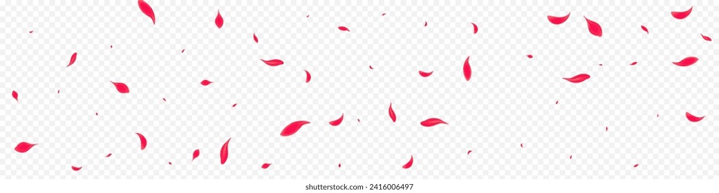 Beautiful Cherry Vector Transparent Panoramic Background. Flying Flower Illustration. Pink Rose Summer Cover. Red Falling Petal Wallpaper.