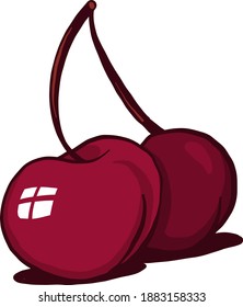 Beautiful cherry,illustration,vector on white background