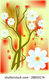 Beautiful cherry-tree with blossom and dawn