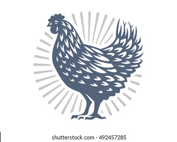 Beautiful chicken illustration on white background