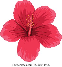 Beautiful China Rose Hibiscus Flower