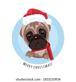 Beautiful Christmas background. Cute pug with Santa Claus hat.