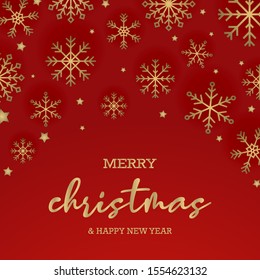 Beautiful christmas background with snowflake