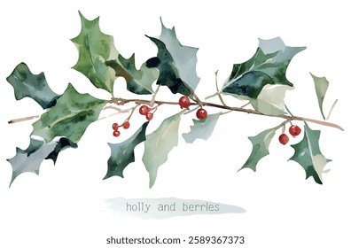 Beautiful christmas decoration Holly leaves and fir branches Watercolor vector illustration christmas border,festival set,new year