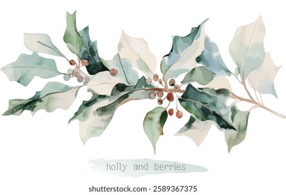 Beautiful christmas decoration Holly leaves and fir branches Watercolor vector illustration christmas border,festival set,new year