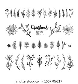 Beautiful Christmas floral doodles isolated on white. Vector botanical elements for Christmas decorations. Flowers, leaves, berries, mistletoe, fir and spruce branches.