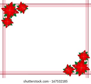 Beautiful Christmas Flowers or Red Poinsettia Plants Decorated on Christmas Border with Copy Space for Text Decorated. 