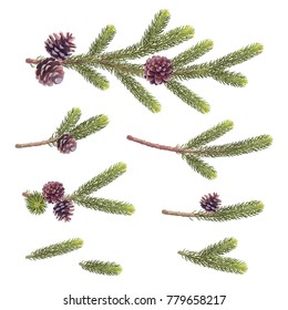 Beautiful Christmas tree branches with pine cones. Vector set of holiday's background for X' mas, New Year invitations and greeting card design.