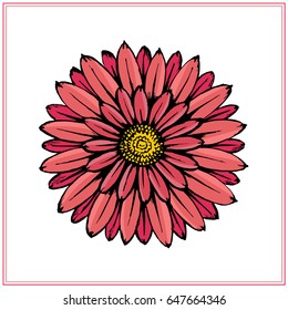 Beautiful chrysanthemum. Bright live image. Can be used in design