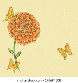 Beautiful chrysanthemum flower with flying butterflies. Hand-drawn contour lines and strokes. Perfect for background greeting cards and invitations to the day of the wedding, birthday and Valentine's