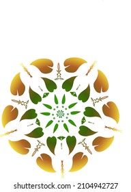 beautiful circular symmetrical leaves on a white background