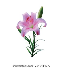 Beautiful close-up of a fresh pink lily flower with water droplets, natural green surroundings ideal for romantic, botanical, and