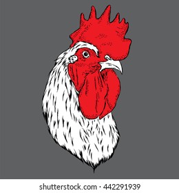 Beautiful cock. Vector illustration.